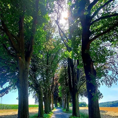 Maison De Tilff Au Bord De L Ourthe Et Du Ravel Mellet