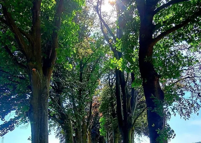 Maison De Tilff Au Bord De L Ourthe Et Du Ravel Mellet